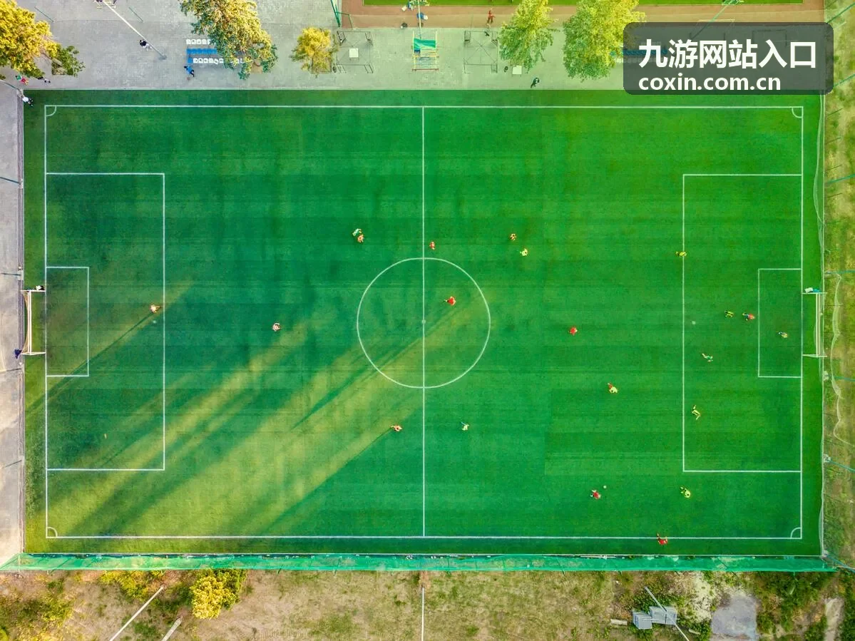 九游网站入口功能与玩法说明页面配图